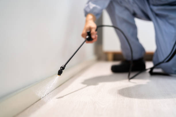 Licensed Cockroach Control service in Central, LA - Nex Pest Control