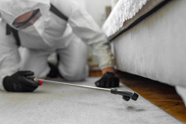 Professional Cockroach Control technician working in Central, LA