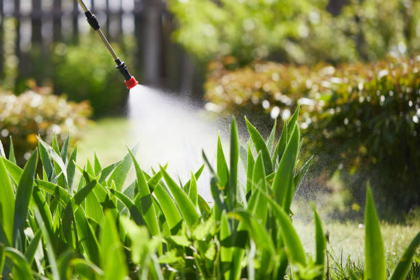 24/7 Emergency Cockroach Control experts in Central, LA