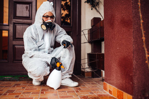Reliable Cockroach Control contractor in Central, LA by Nex Pest Control