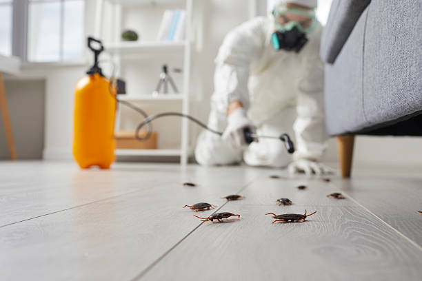 Affordable Cockroach Control solutions in Central, LA